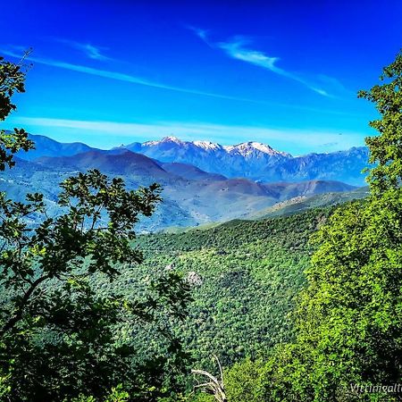 Nuits Magiques Au Village Entre Mer Et Montagnes Bigorno Екстер'єр фото