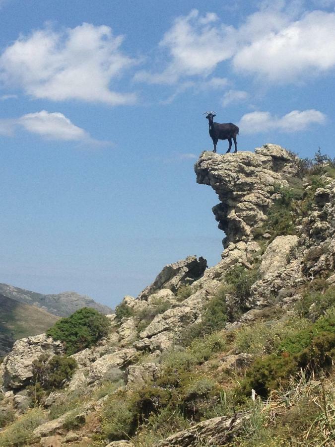 Nuits Magiques Au Village Entre Mer Et Montagnes Bigorno Екстер'єр фото
